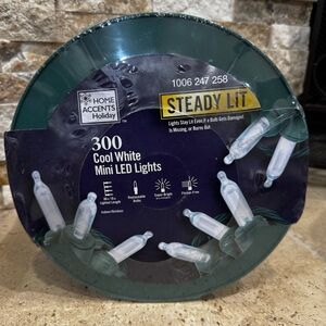 Home Accents 300 Count Cool White Super Bright Steady Lit Mini LED Lights 88 Ft